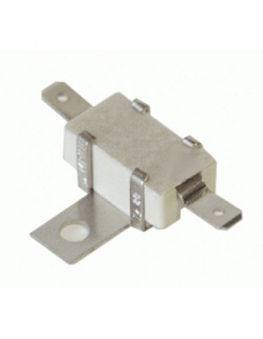 FUSIBLE DE SEGURIDAD CERÁMICO 315º POLTI