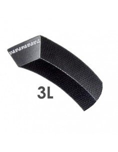 CORREA 3L 474 2