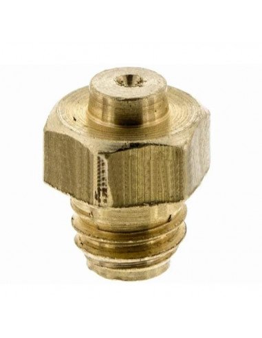 INYECTOR BUTANO COINTRA 5L