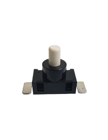 INTERRUPTOR DELONGHI-KENWOOD